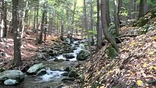 Butternut Brook in the Lake George Wild Forest October 16, 2010