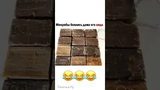 #юмор #шутки #приколы #смех #funny #comedy #jokes #humor #shorts