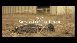 Mobb Deep - Survival of the Fittest (official west Texas remix)