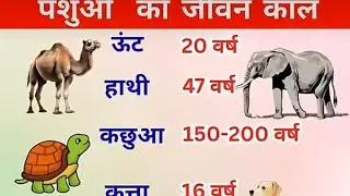 प्लीज सभी लोग एक एक लाइक कमेंट और सब्सक्राइब जरूर कर लेना