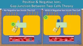 How Does Your Body Inhale Negative Air Ions?