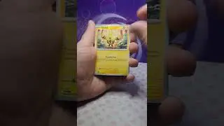 Eevees Mystery Pokemon packs Pt23 #fyp  #pokemon  #pokemoncards #funny #pokemontcg