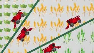 Exchange auctions for agricultural products - Belarusian Universal Commodity Exchange. 4К