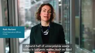 Net Zero Transition Plan 2024