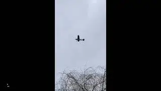 Plane Gets Stuck in Mid Air Because Of High Winds