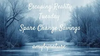 Spare change savings and fantasy binder