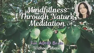 Mindfulness Through Nature: ADHD-Friendly Meditation with Natural Objects