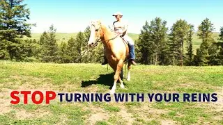 HOW TO TURN A HORSE WITH YOUR BODY