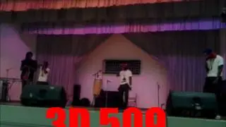 3D 509 PERFORMANCE