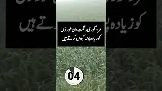 Quran production please my subscribe new channel all friend from video 🙏🙏🙏