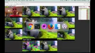 WebRTC test suite example