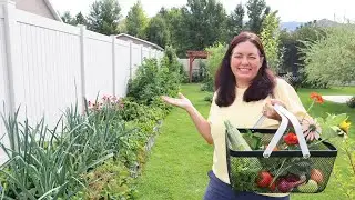 Katies Garden Tour