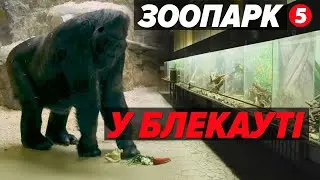 💡БЛЕКАУТ у ВОЛ'ЄРАХ🦍Як СТОЛИЧНИЙ ЗООПАРК рятує тварин в екстремальні морози без електрики