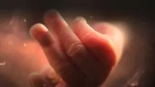 Orange Babies - SOS van ongeboren baby