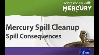 Mercury Spill Cleanup - Spill Consequences