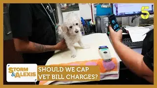 Should we cap vet bill charges? Feat. Carole Malone & Anju Solanki | Storm & Alexis