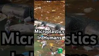 Microplastics Attacking Your Body #microplastics #health #science #water #pollution #biology