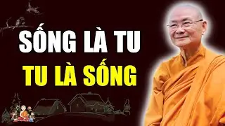 Tu Là Sống, Sống Trong Chánh Niệm Chính Là Tu | Vấn Đáp Thầy Viên Minh