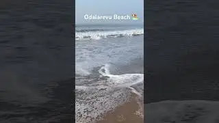 Odalarevu Beach Must visit with your gang #beach