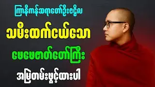 သမီးထက်ငယ်သော ဖေဖေ ဇာတ်တော်ကြီး”- ကြာနီကန်ဆရာတော် ဦးဇဠိလ