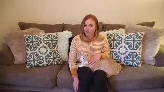 Removing Cat Urine Odor With A Black Light