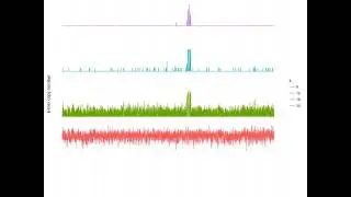k-mer copy number in E. coli
