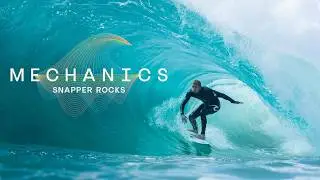 Snapper Wasn’t Always Like This: How Science and Nature Created the Superbank