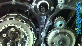 TIGER 1050 STICKY CLUTCH    **ARCHIVE 1066**
