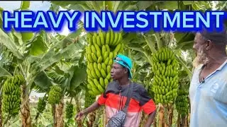 He left Libya In 2007 To Establish Lagest Farm In Faraba Batan The Gambia  West Africa 