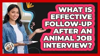 What Is Effective Follow-Up After An Animal Job Interview?
