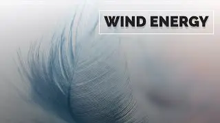Harnessing the Power of the Wind: A Renewable Revolution 🌬️ | Wind Energy Explained