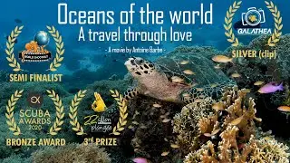 Oceans of the world - A travel through love