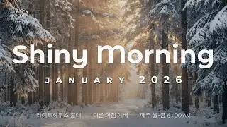 20260122 샤이니 모닝 Shiny Morning✨창세기16:1 - 16_ 라이트하우스 홍대 노원경 목사