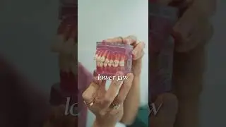 Does braces change face shape?