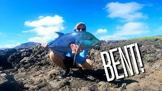 LIVE Kupipi's Got GULPED! - Fishing In Hawaii - Catch & Release! (BIGGEST YET)