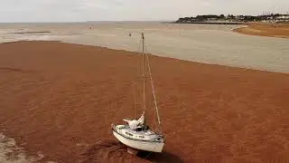 dpi mavic pro 2