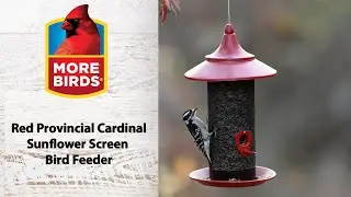 More Birds Red Provincial Cardinal Screen Feeder