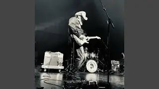 Surf Monkeys From Space