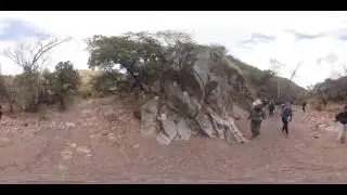 A Transformative Journey: Water drops in the Sonoran Desert