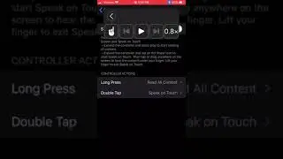 iOS 13 Speech Controller