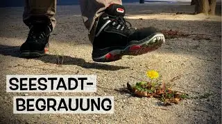 Die grauen Grünflächen der Seestadt