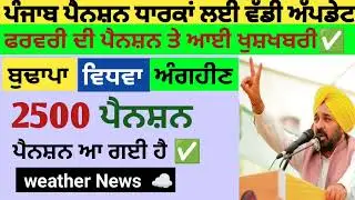 2500 ਜਨਵਰੀ ਪੈਨਸ਼ਨ | 2500 pension scheme in punjab 2026 | 1000 ਮਹਿਲਾ ਪੈਨਸ਼ਨ ਸਕੀਮ |2500 budhapa pension