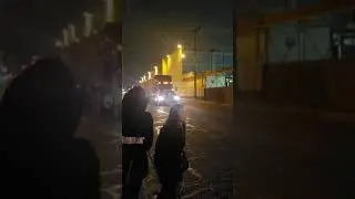 LA Animal Save Pig Vigil: December 29, 2019