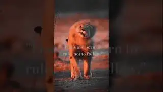 #thelionking #lion #tiger #wildlife #popular #trending