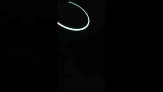 Alexa say c**t
