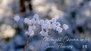 How Long Till I See You? No.54 'Snow Flowers' by Midnight Chroma