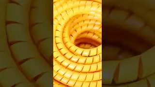Taipan's Spiral Guard