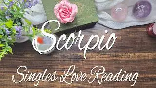 SCORPIO SINGLES You will get your victory. A new person who will bring peace to your life.
