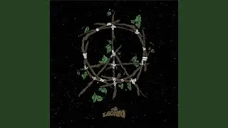 Stems of Peace