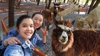 Beijing Wildlife Park | International Students' Safari Adventure in China